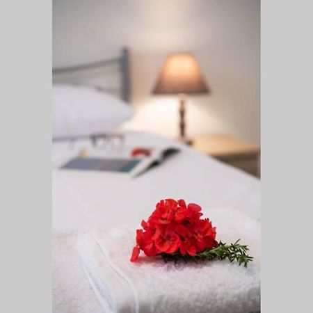 Apartment In The Center Of Lefkas Lefkada City Bagian luar foto